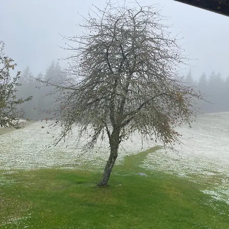 Ferienhaus Landhausidylle - Natur&komfort Feistritz (Sankt Veit an der Glan)