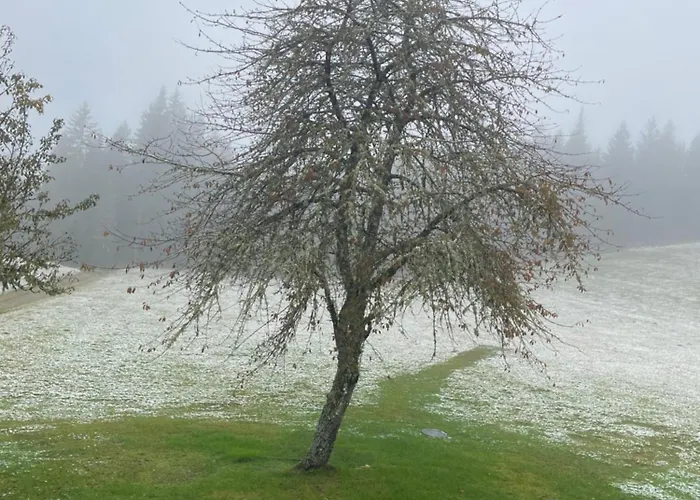 Hébergement de vacances Landhausidylle - & Komfort Feistritz (Sankt Veit an der Glan)