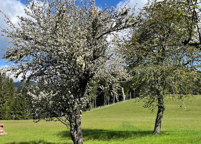 Hébergement de vacances Landhausidylle - & Komfort *